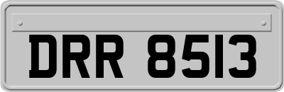 DRR8513