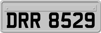 DRR8529