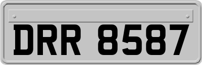 DRR8587