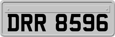 DRR8596