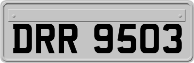 DRR9503