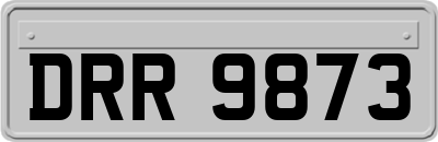 DRR9873