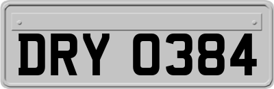 DRY0384