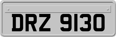 DRZ9130
