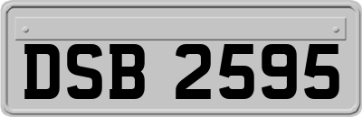 DSB2595