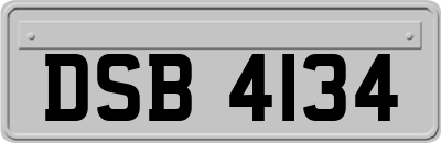 DSB4134