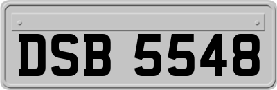 DSB5548