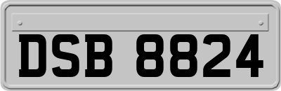 DSB8824