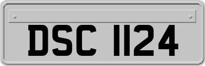 DSC1124
