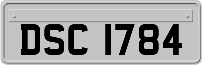 DSC1784