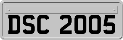 DSC2005