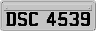 DSC4539