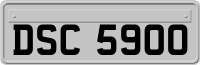 DSC5900