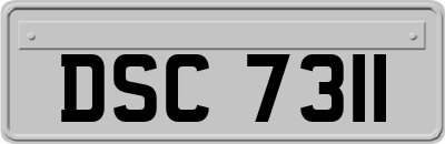 DSC7311
