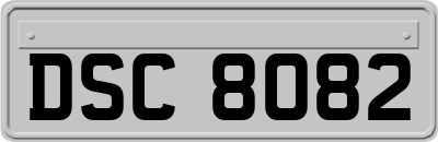 DSC8082