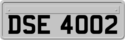DSE4002