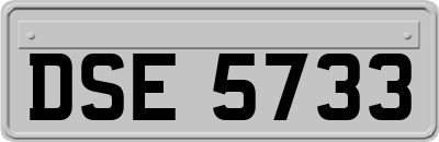 DSE5733