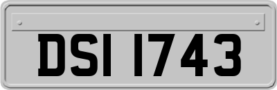 DSI1743