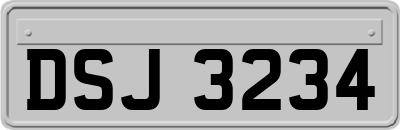 DSJ3234