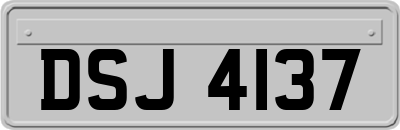 DSJ4137