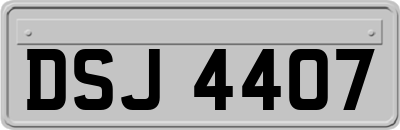 DSJ4407