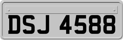 DSJ4588