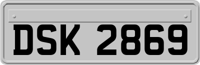DSK2869