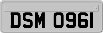 DSM0961