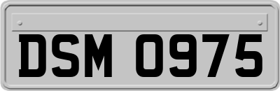 DSM0975
