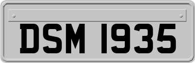 DSM1935