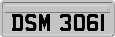 DSM3061