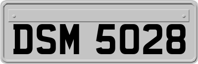 DSM5028