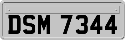 DSM7344