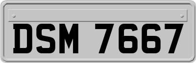 DSM7667