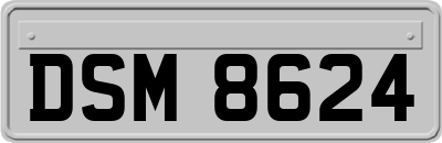 DSM8624