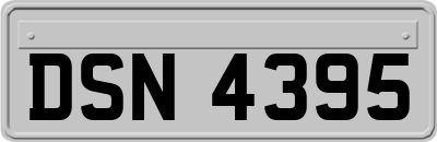 DSN4395