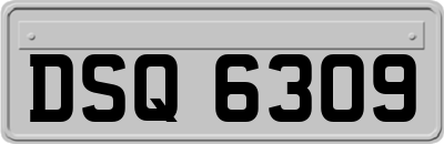 DSQ6309