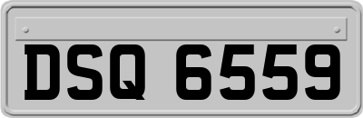 DSQ6559