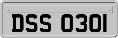 DSS0301