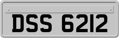 DSS6212