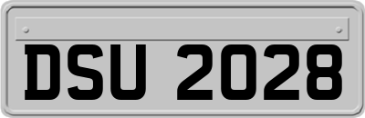 DSU2028