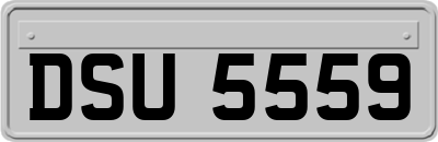DSU5559