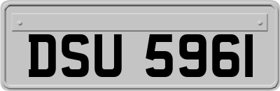 DSU5961