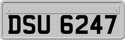 DSU6247