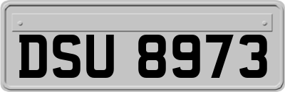 DSU8973