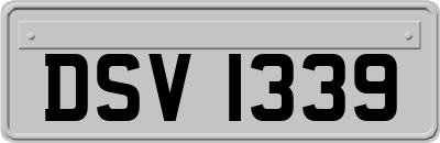 DSV1339