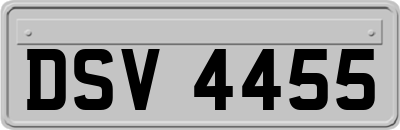 DSV4455