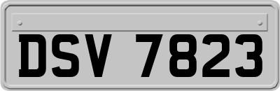 DSV7823