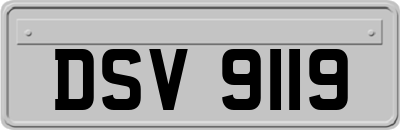DSV9119