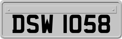 DSW1058